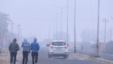 Rajasthan Weather Today: सीकर में पड़ी कड़ाके की ठंड, मौसम विभाग का येलो अलर्ट, सुबह शाम शीतलहर से जनजीवन बेहाल