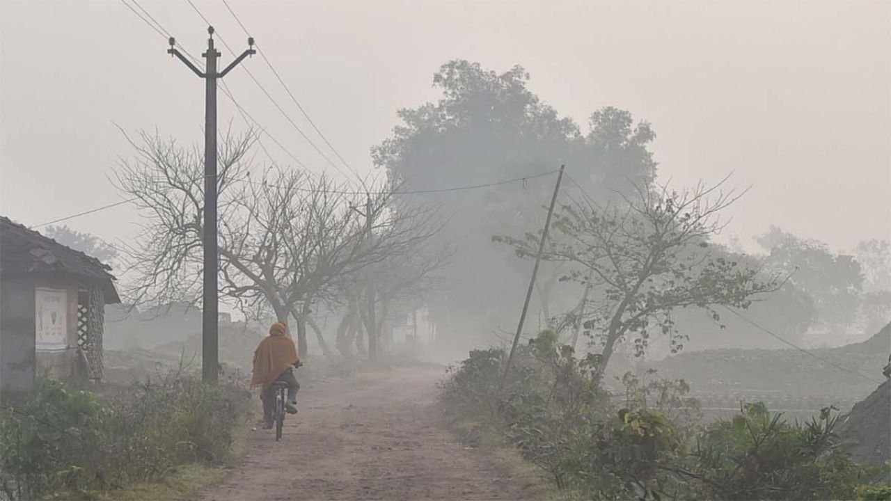 Rajasthan Weather Today: सीकर में पड़ी कड़ाके की ठंड, मौसम विभाग का येलो अलर्ट, सुबह शाम शीतलहर से जनजीवन बेहाल