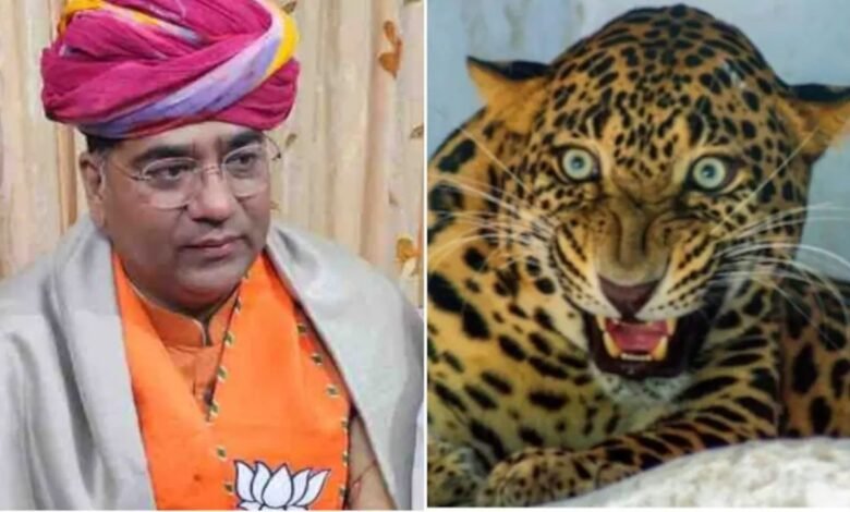 Rajasthan: सुरेश रावत के सरकारी निवास में तेंदुआ घुसा, तुरंत वन विभाग और पुलिस ने नियंत्रण किया